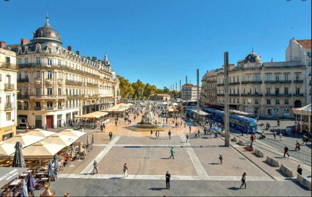 Appartement T3 Sur L'Esplanade De L'Europe مونبيلييه المظهر الخارجي الصورة